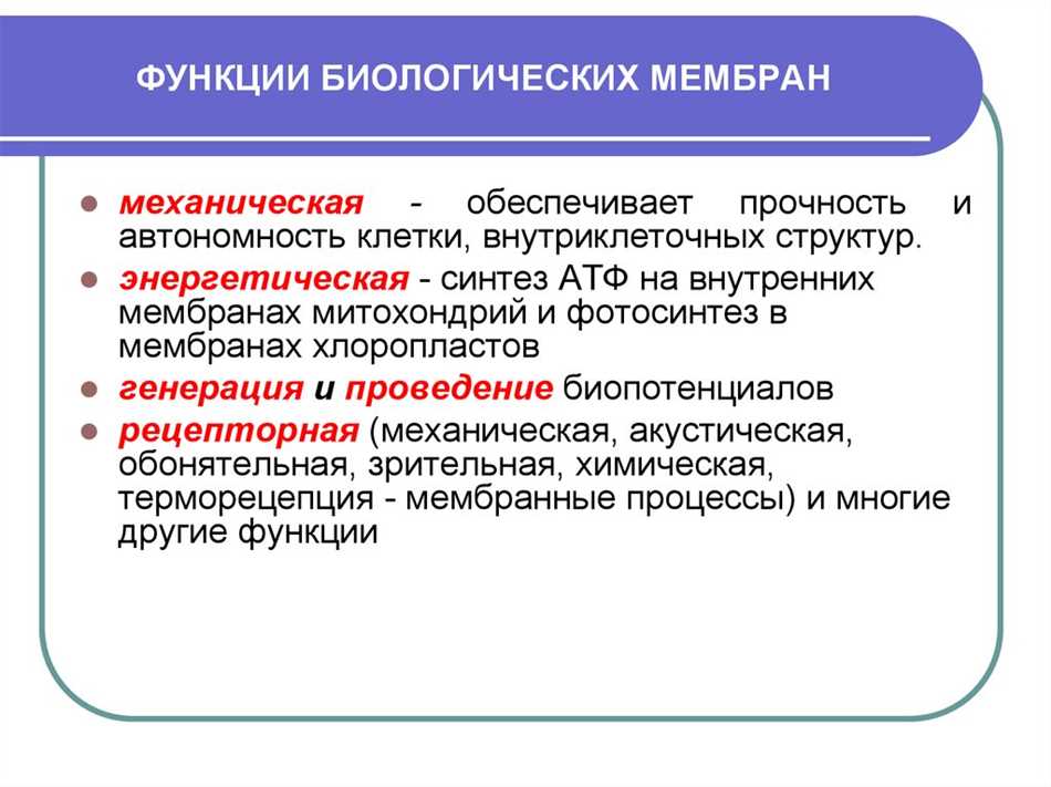 Механическая прочность мембран