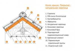 История происхождения термина 