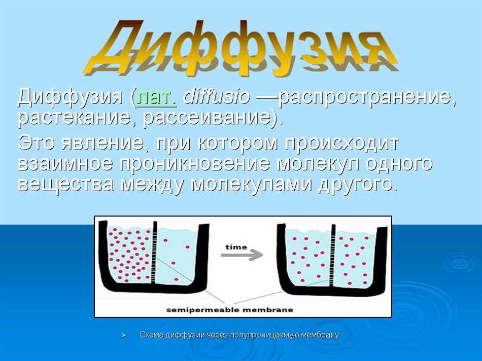 Процесс в жидкостях. Диффузия. Диффузия это в физике. Процесс диффузии. Диффузия в жидкостях.