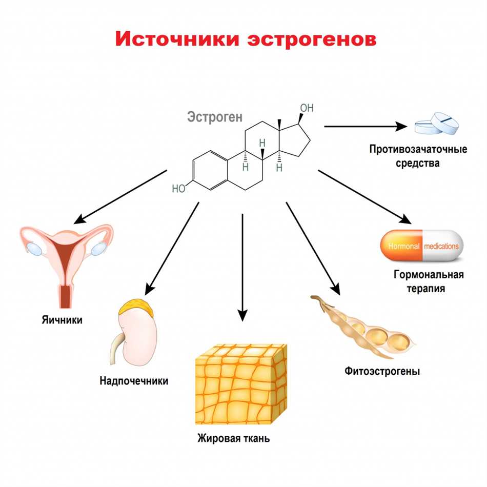 Гормоны в организме. Выработка эстрогенов в организме. Эффекты эстрогенов в организме женщины. Эстроген гормон. Эстроген из жировой ткани.