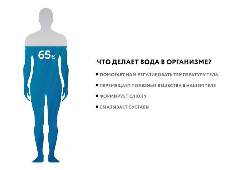 Какая вода в организме. Процент воды в человеке. Человек состоит из воды. Тело человека состоит из воды. На сколько человек состоит из воды.